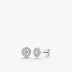 Aureole Halo Stud Earrings 18k White Gold